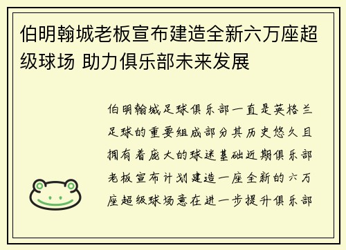 伯明翰城老板宣布建造全新六万座超级球场 助力俱乐部未来发展